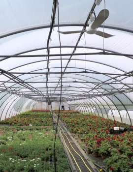 Gewächshaus-Ventilatoren